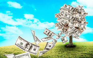 Money Tree for investing in super saver money market