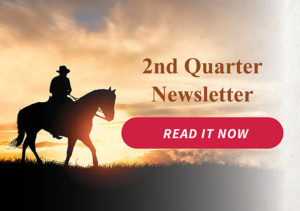 22-MTFCU-00429_-_2Q_Web_Banners_RUSH-640_x_450-1