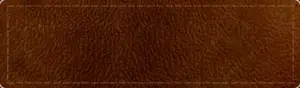 leather texture
