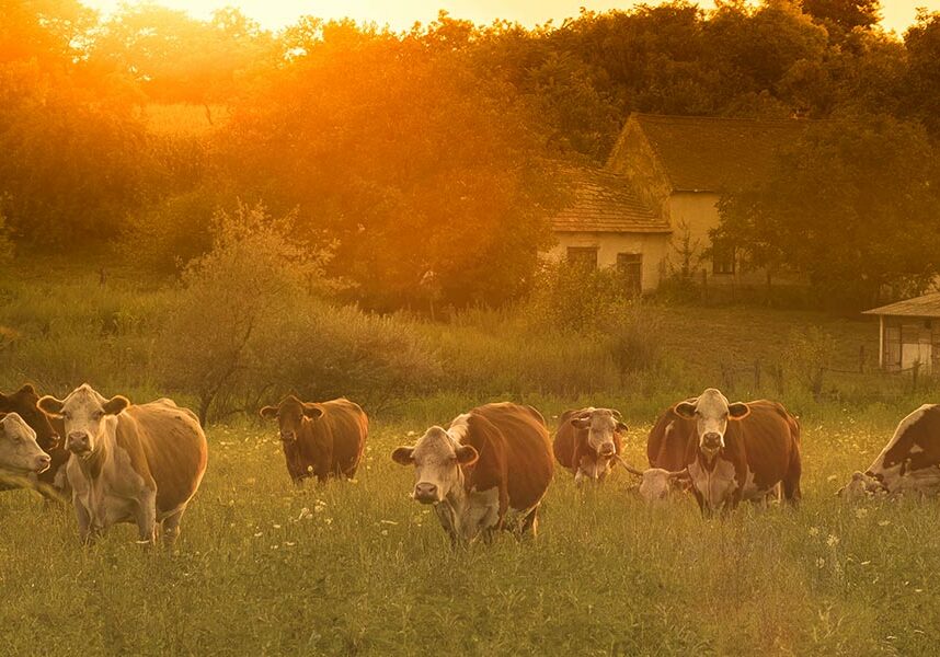 business credit card